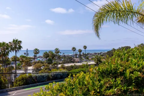 a view of a garden with a tree