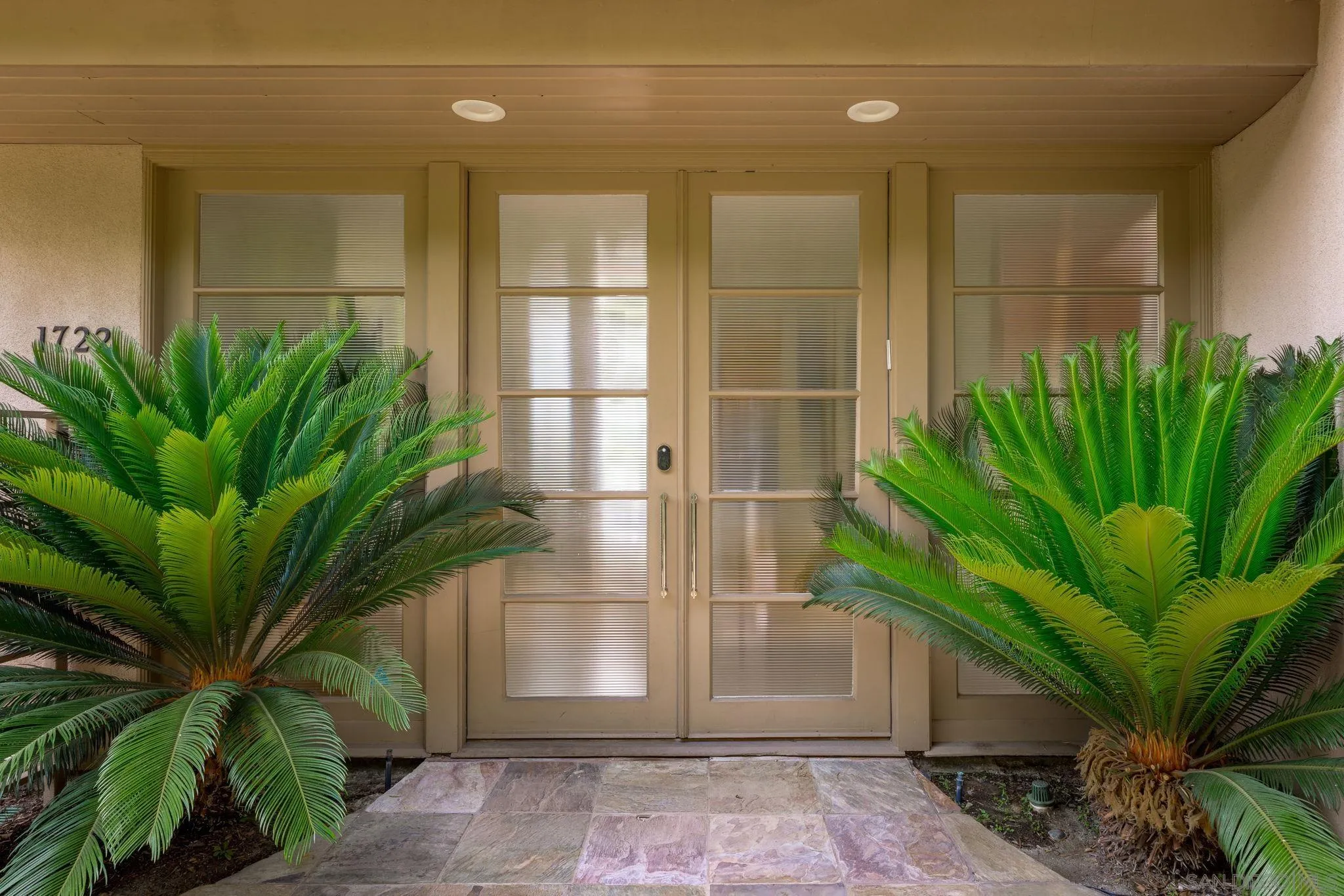 1722 Seaview Avenue Del Mar, CA 92014 - Photo 27 of 31 a view of a potted plants in front of a building