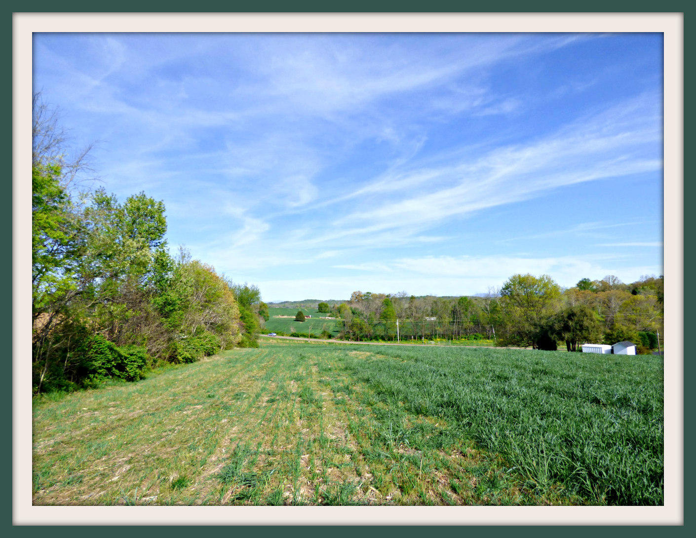Lot 6 Falcon Road White Pine, TN 37890 - Photo 15 of 25 P1040467f