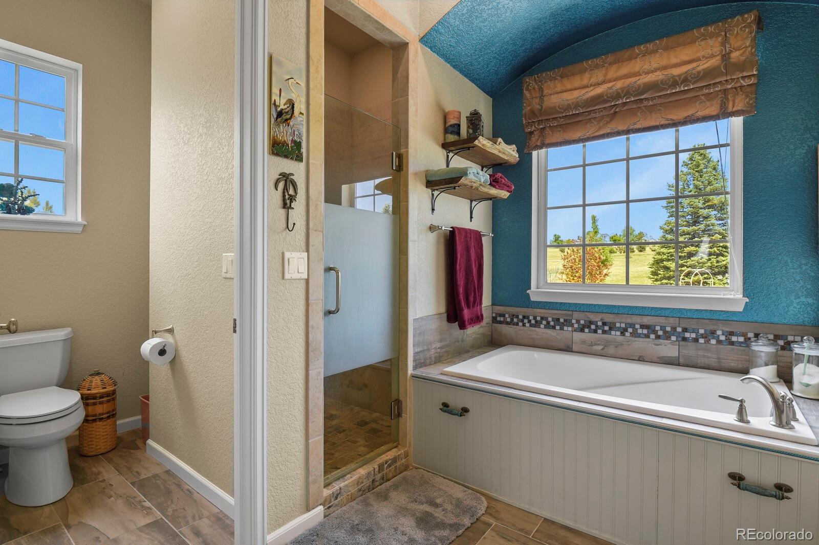 3973 Palmer Ridge Drive Parker, CO 80134 - Photo 21 of 50