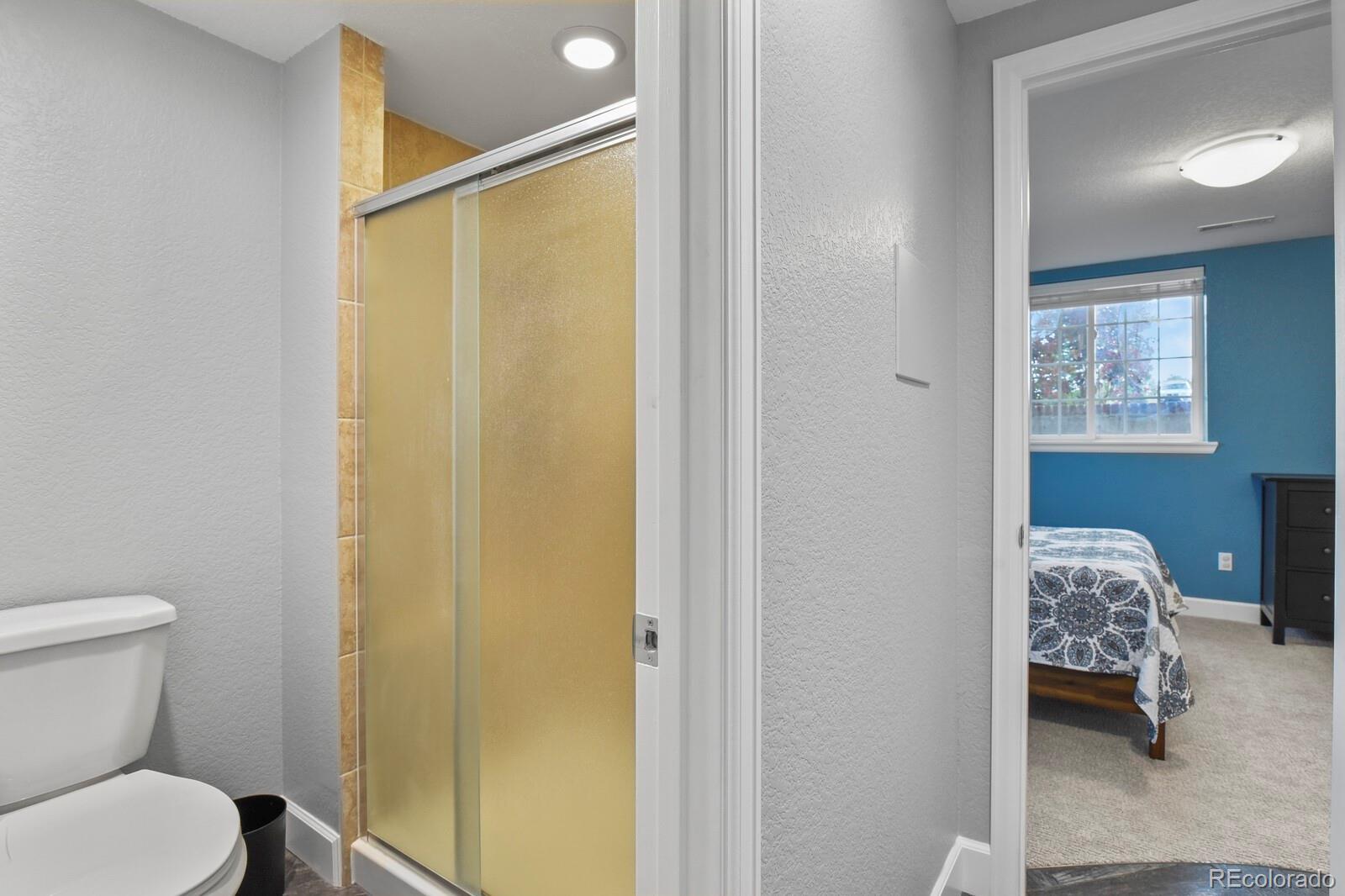 3973 Palmer Ridge Drive Parker, CO 80134 - Photo 42 of 50