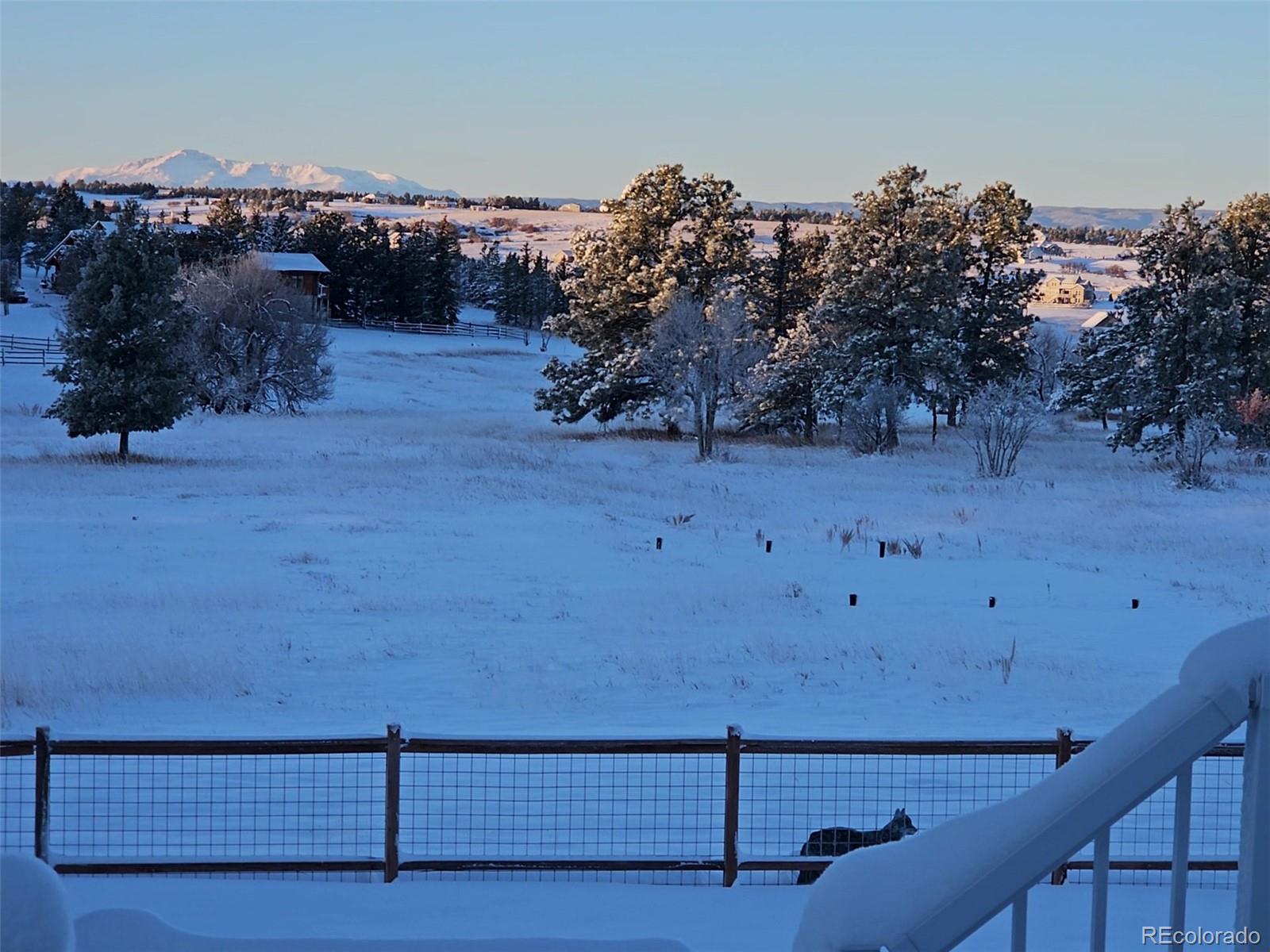 3973 Palmer Ridge Drive Parker, CO 80134 - Photo 5 of 50