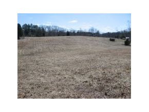 143.00 Old Stage Road Gray, TN 37615 - Photo 4 of 5 Photo 4