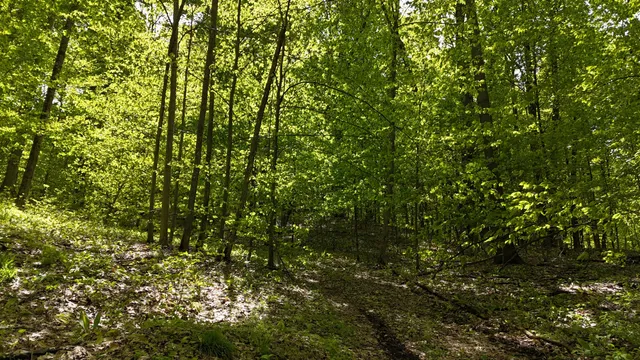 $60,000 | Mcclish Aka Bigge, Copemish, MI 49625