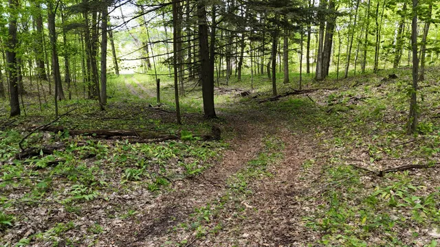 $60,000 | Mcclish Aka Bigge, Copemish, MI 49625