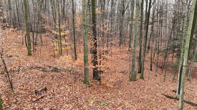 $60,000 | Mcclish Aka Bigge, Copemish, MI 49625