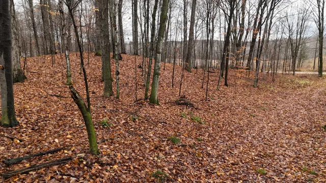 $60,000 | Mcclish Aka Bigge, Copemish, MI 49625