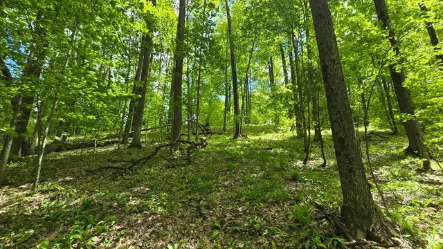 $60,000 | Mcclish Aka Bigge, Copemish, MI 49625