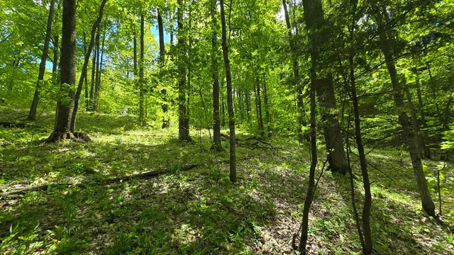 $60,000 | Mcclish Aka Bigge, Copemish, MI 49625