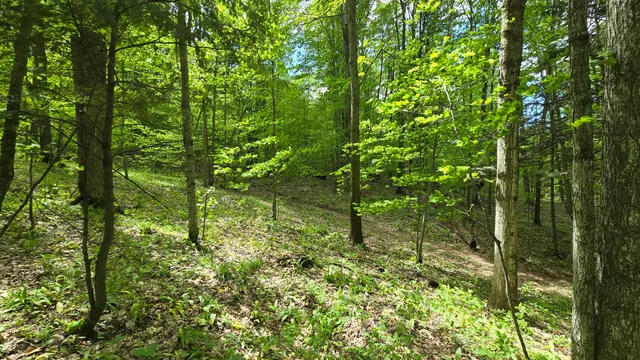 $60,000 | Mcclish Aka Bigge, Copemish, MI 49625