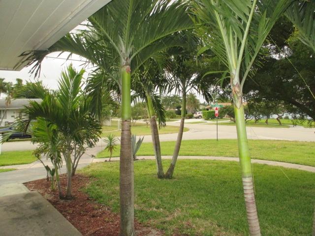 1610 High Ridge Road Lake Worth, FL 33461 - Photo 6 of 15 Front View