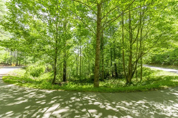 $119,000 | 9999 River Edge Drive, Unit 2, Burnsville, NC 28714
