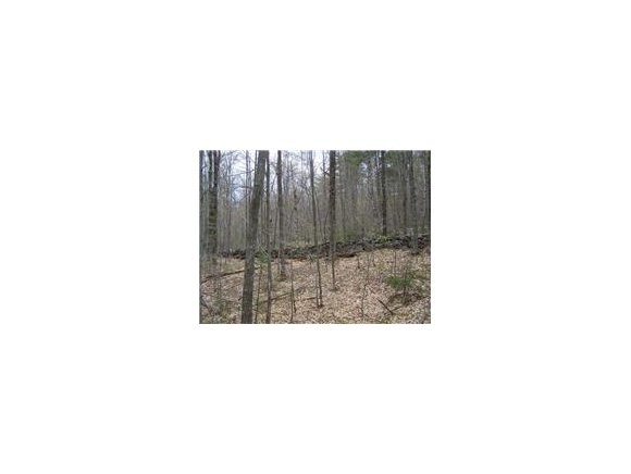 Poverty Pond Road Hill, NH 03243 - Photo 1 of 1