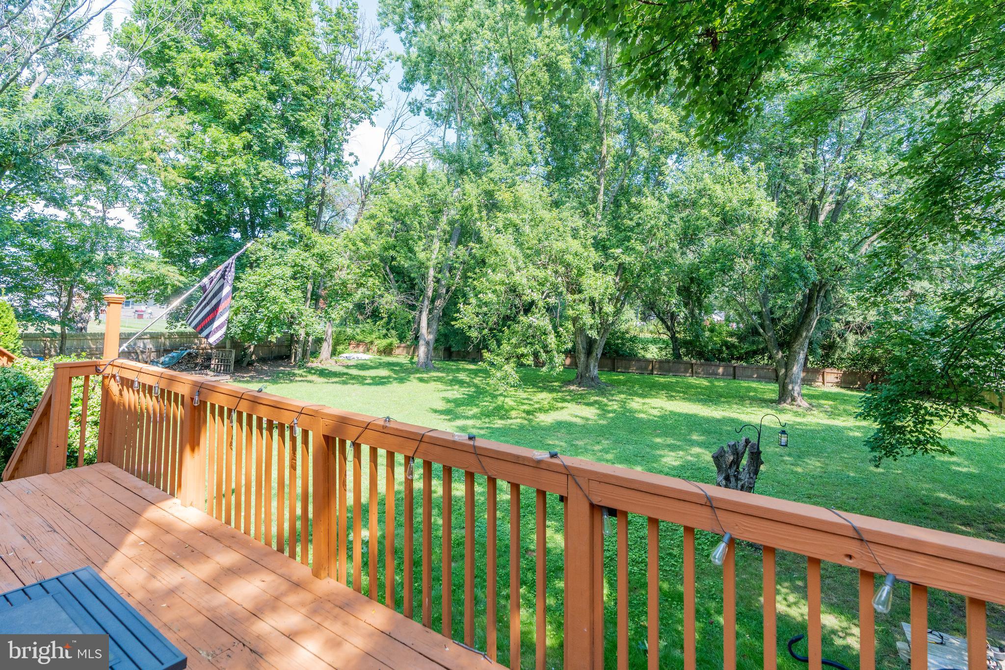 101 White Hall Road Elkton, MD 21921 - Photo 15 of 16 Huge deck