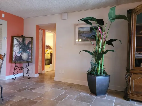 a view of living room filled with furniture and potted plant
