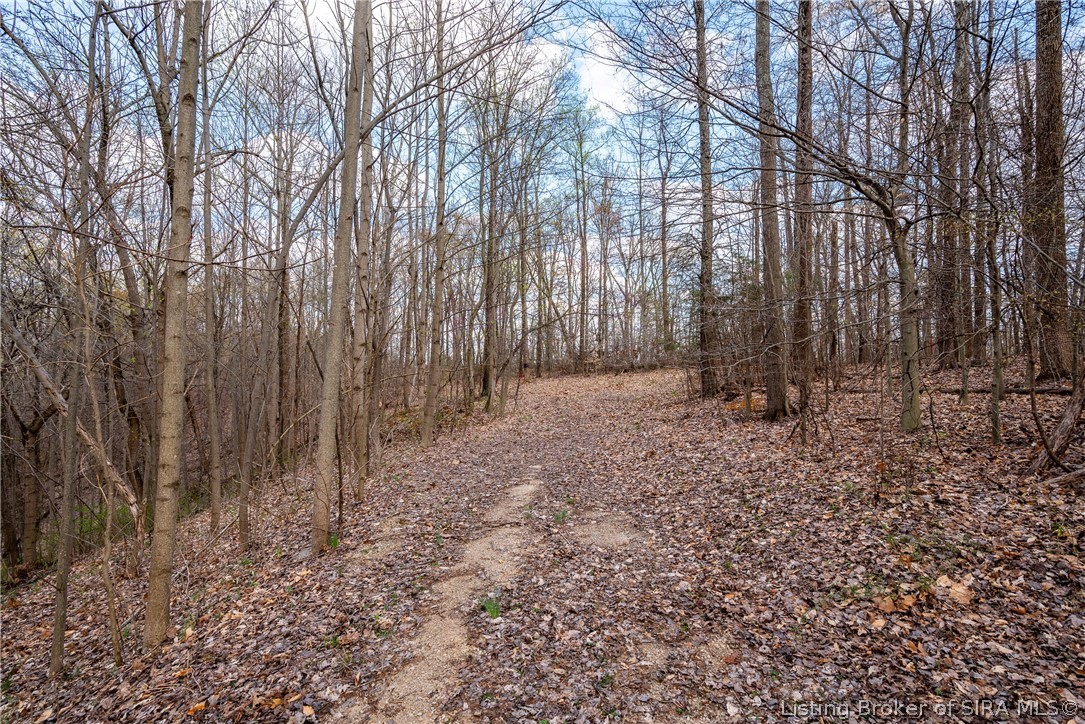 26406 Bartle Knob Road Memphis, TN 47106 - Photo 5 of 26