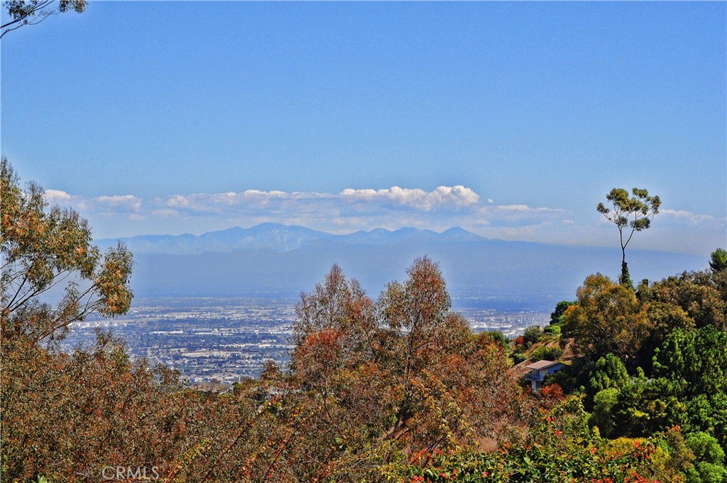 2 Flying Mane Road Rolling Hills, CA 90274 - Photo 4 of 49 a view of a bunch of trees in a field