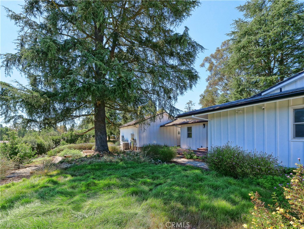 2 Flying Mane Road Rolling Hills, CA 90274 - Photo 47 of 49 a view of backyard with potted plants and large tree