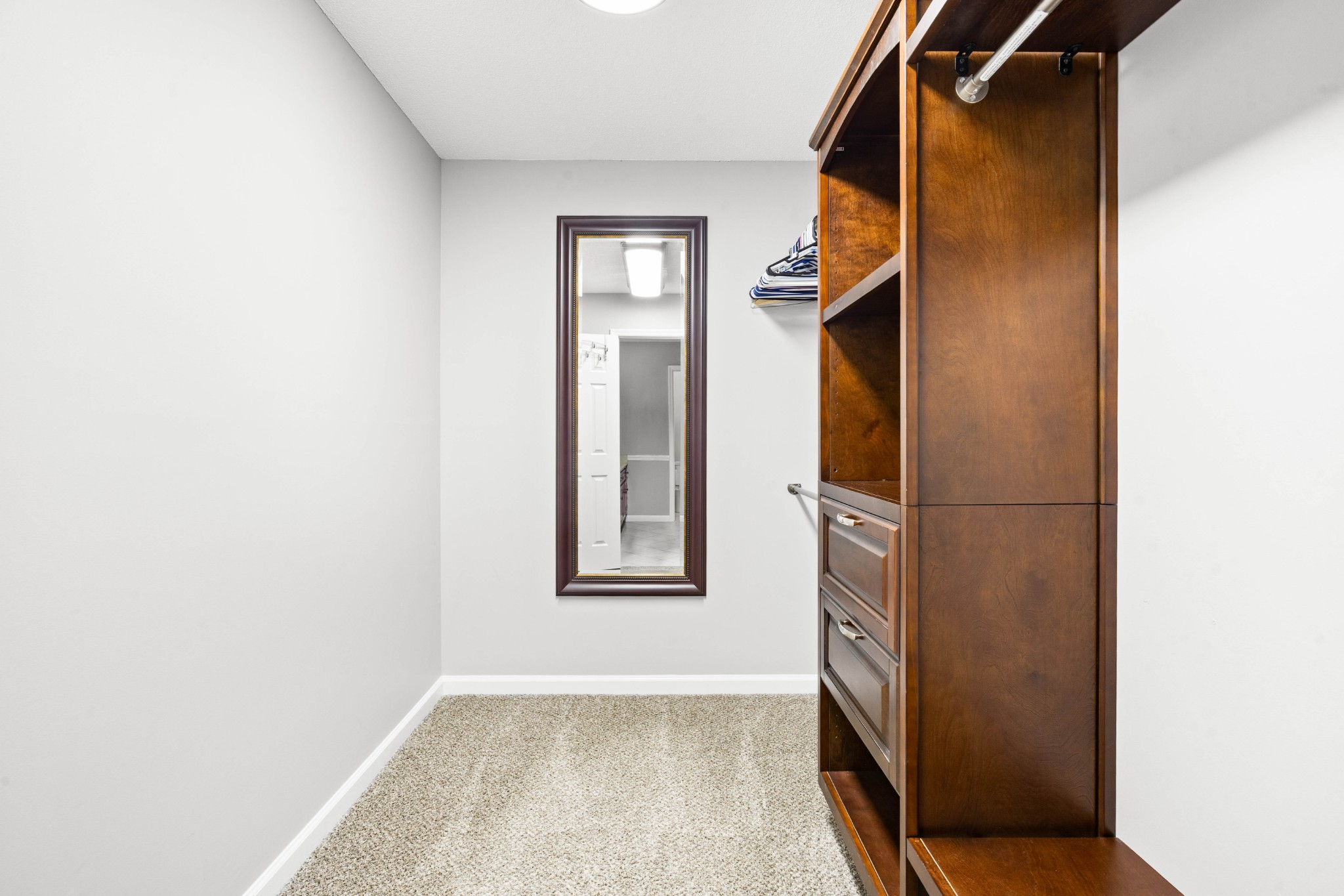 407 Idaho Springs Road Clarksville, TN 37043 - Photo 27 of 45 a view of walk in closet with window