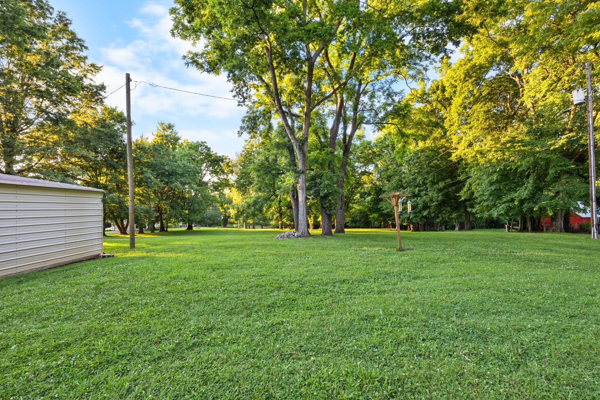 407 Idaho Springs Road Clarksville, TN 37043 - Photo 38 of 45 a view of a grassy field with trees in the background