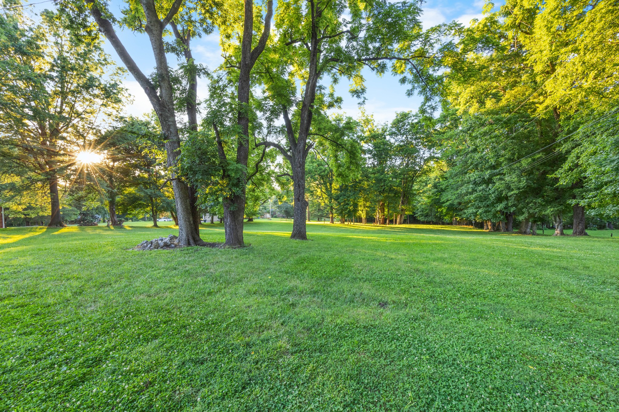 407 Idaho Springs Road Clarksville, TN 37043 - Photo 39 of 45 a view of green field with trees in the background