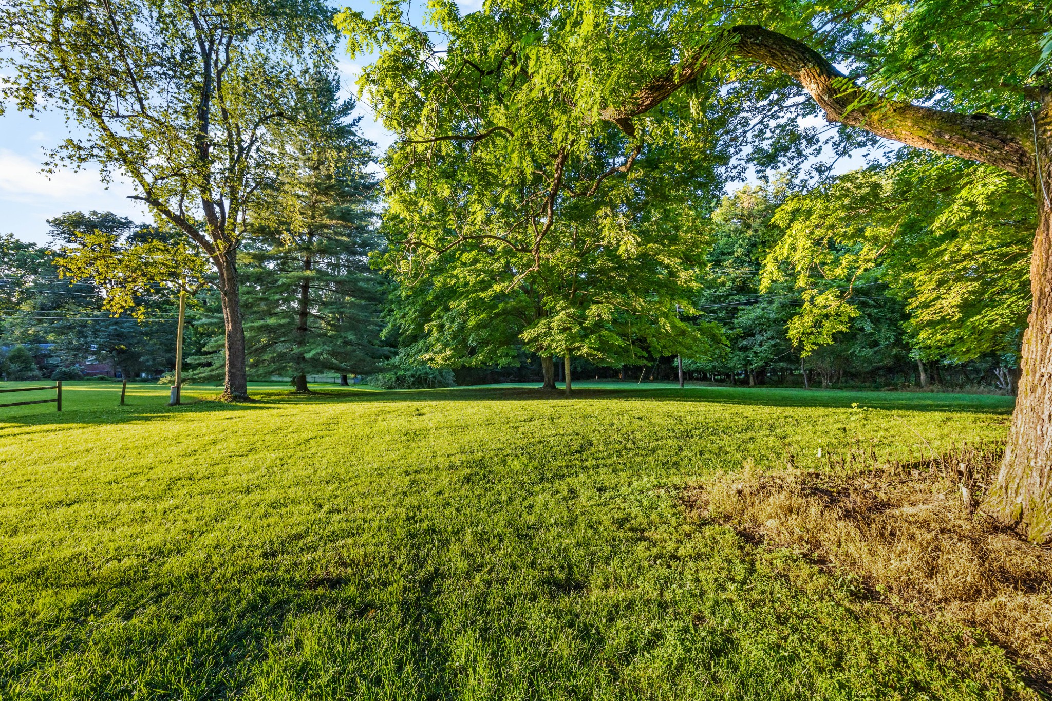 407 Idaho Springs Road Clarksville, TN 37043 - Photo 40 of 45 a view of a yard with a large trees