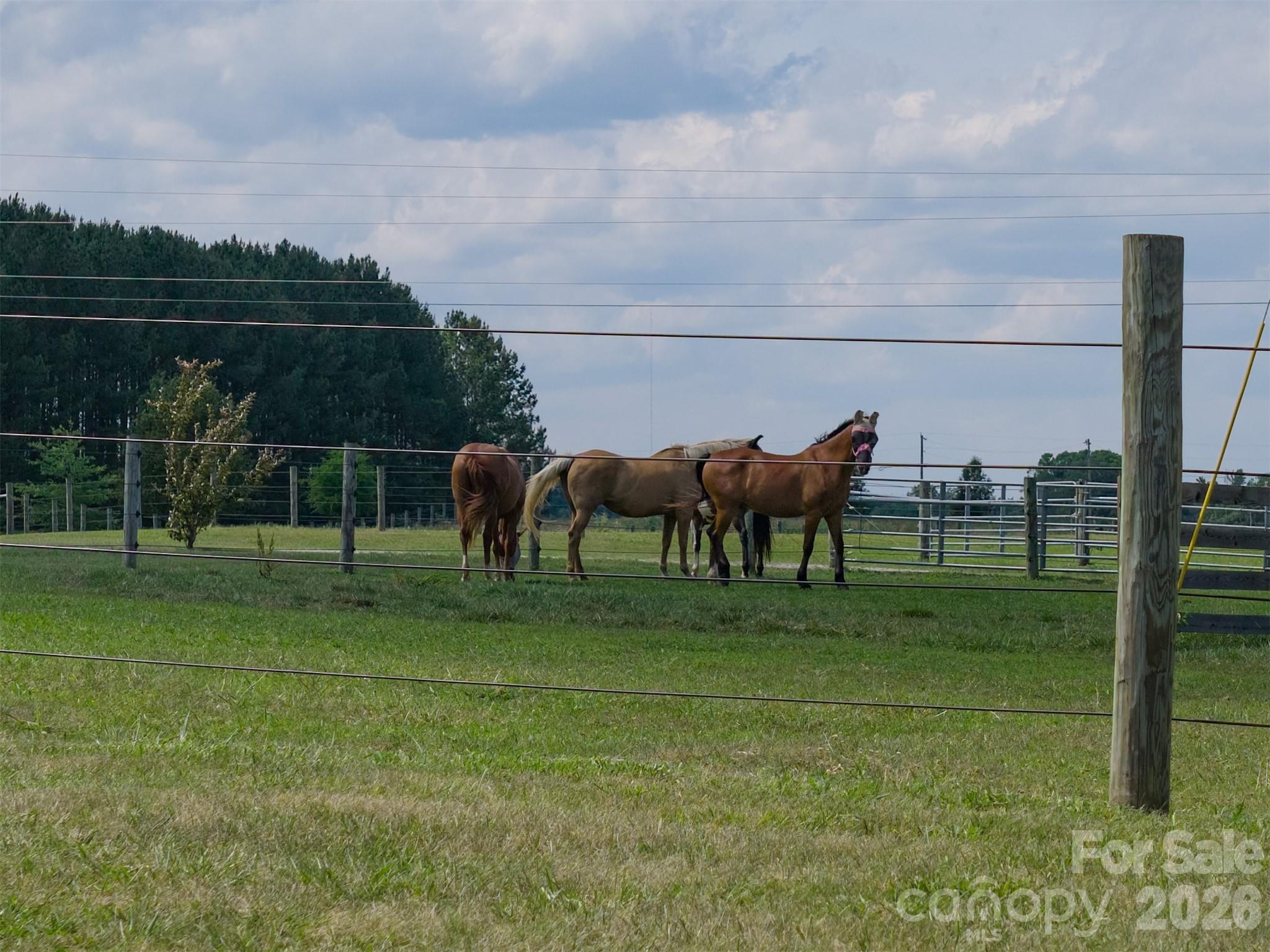 1425 Hobson Road Cleveland, NC 27013 - Photo 46 of 48