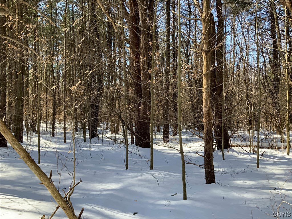 0 Hoffman Road St. Johnsville, NY 13452 - Photo 11 of 35