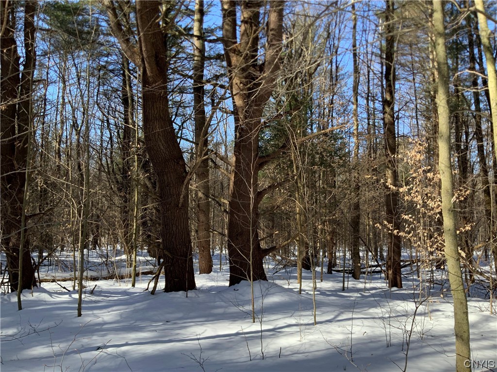 0 Hoffman Road St. Johnsville, NY 13452 - Photo 12 of 35