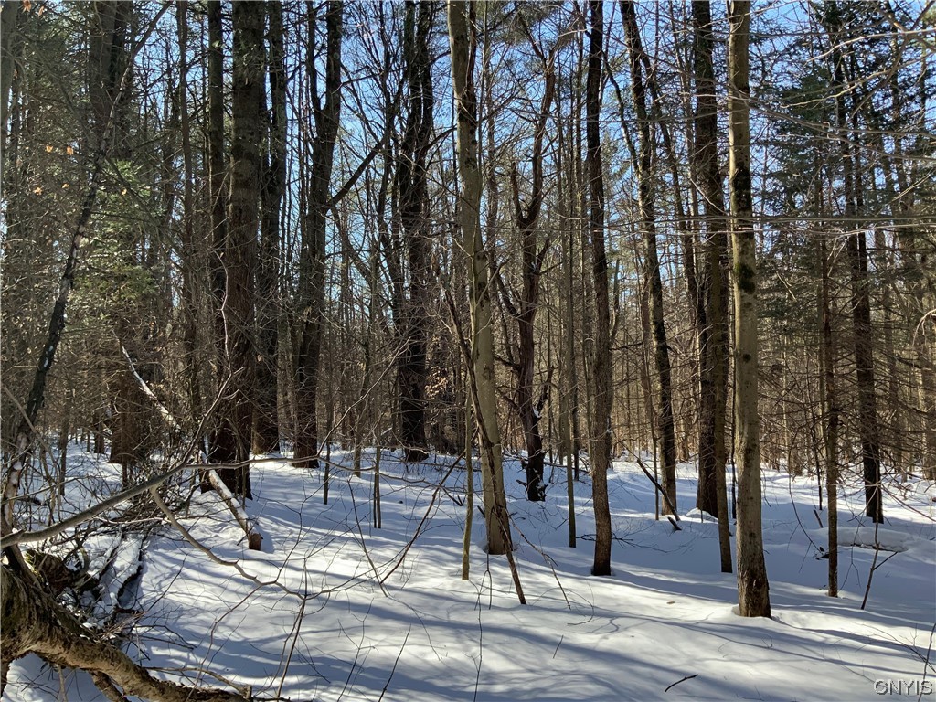 0 Hoffman Road St. Johnsville, NY 13452 - Photo 13 of 35