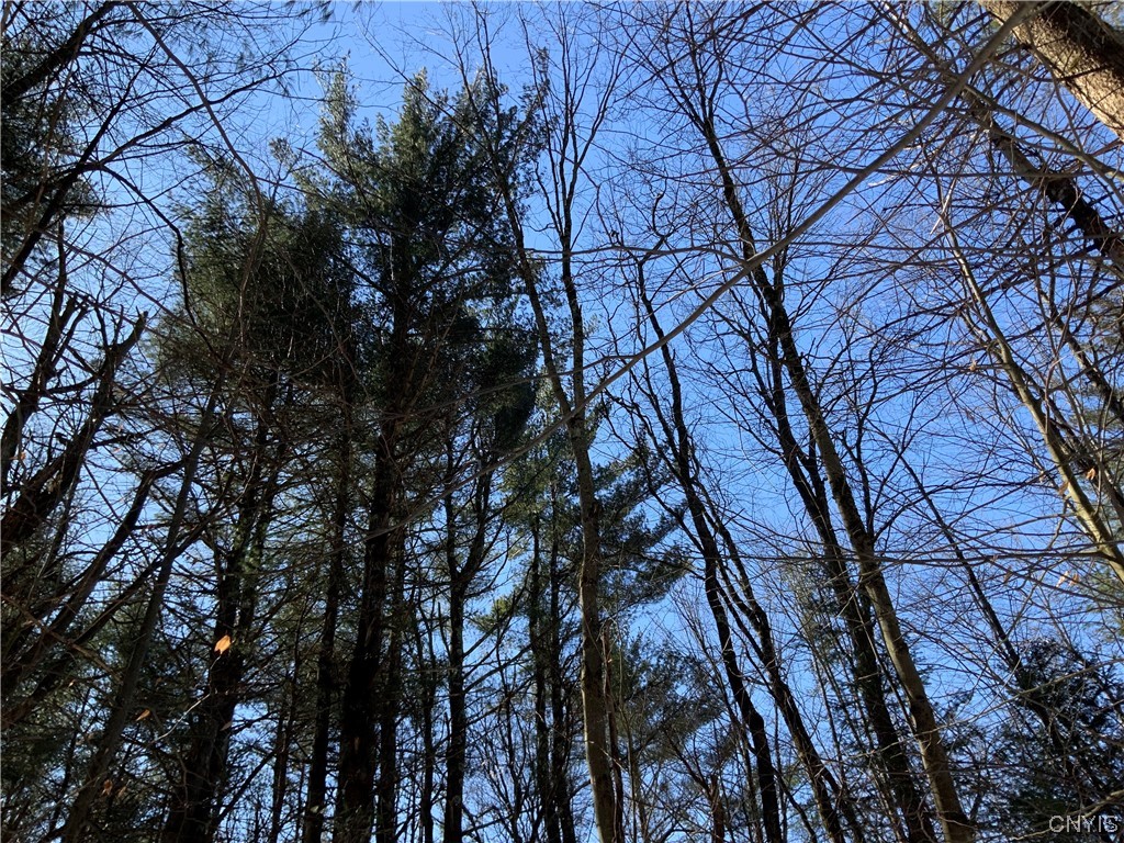 0 Hoffman Road St. Johnsville, NY 13452 - Photo 14 of 35