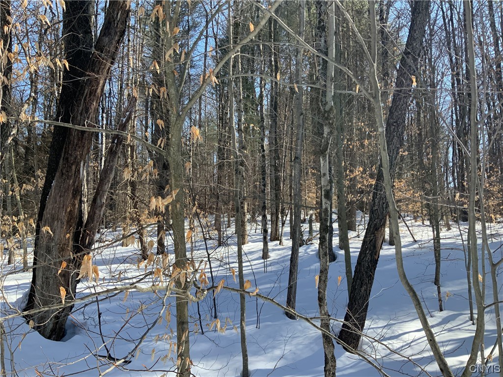 0 Hoffman Road St. Johnsville, NY 13452 - Photo 15 of 35