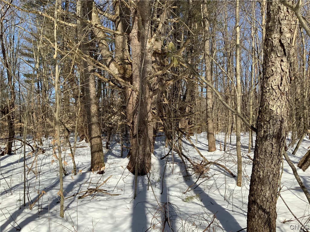 0 Hoffman Road St. Johnsville, NY 13452 - Photo 16 of 35