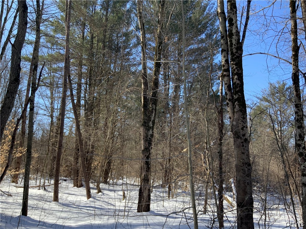 0 Hoffman Road St. Johnsville, NY 13452 - Photo 17 of 35