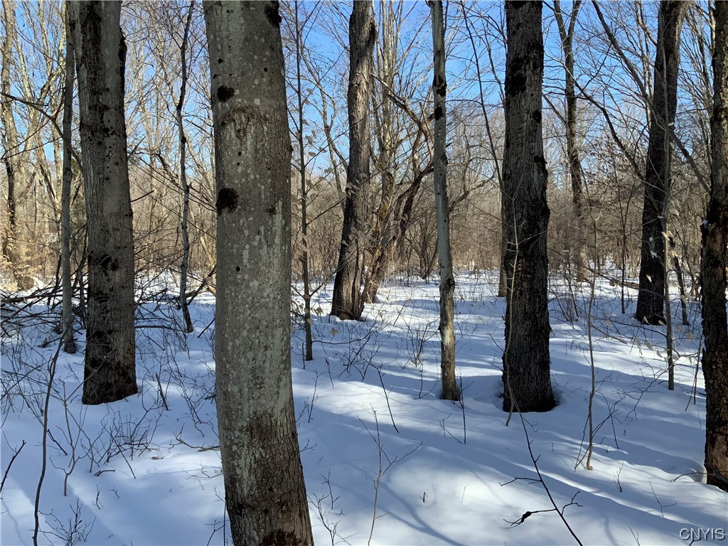 0 Hoffman Road St. Johnsville, NY 13452 - Photo 18 of 35