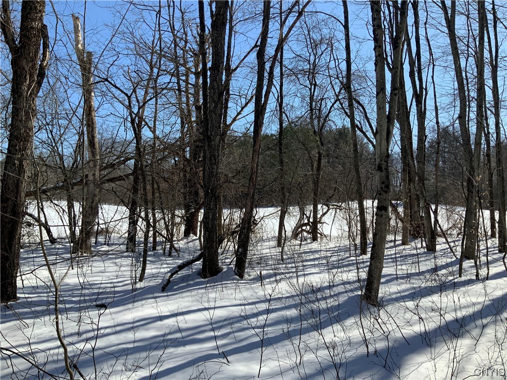 0 Hoffman Road St. Johnsville, NY 13452 - Photo 19 of 35