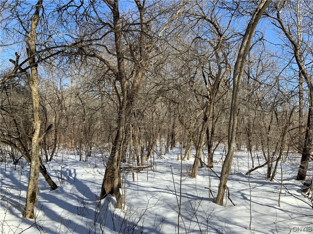 0 Hoffman Road St. Johnsville, NY 13452 - Photo 20 of 35