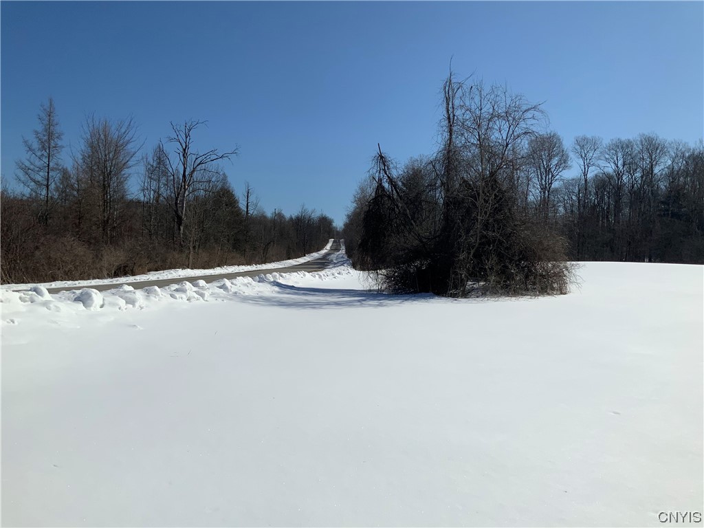 0 Hoffman Road St. Johnsville, NY 13452 - Photo 21 of 35