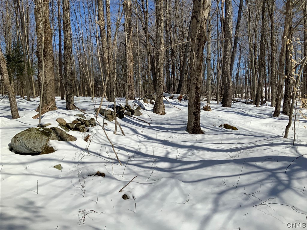 0 Hoffman Road St. Johnsville, NY 13452 - Photo 22 of 35