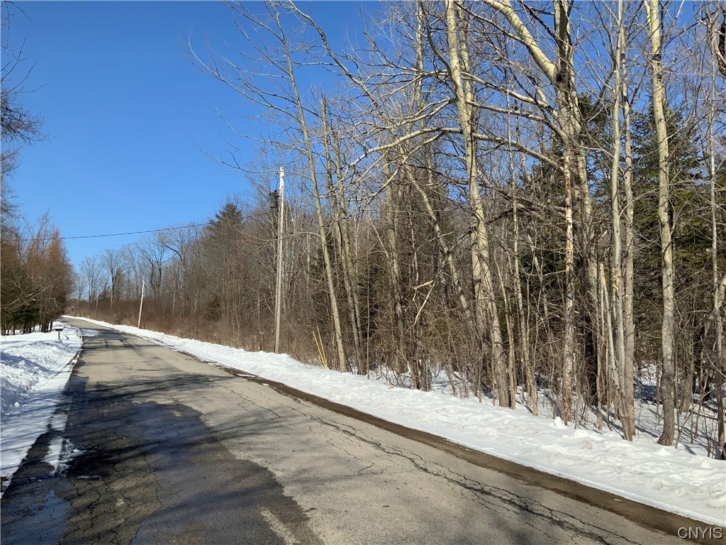 0 Hoffman Road St. Johnsville, NY 13452 - Photo 26 of 35