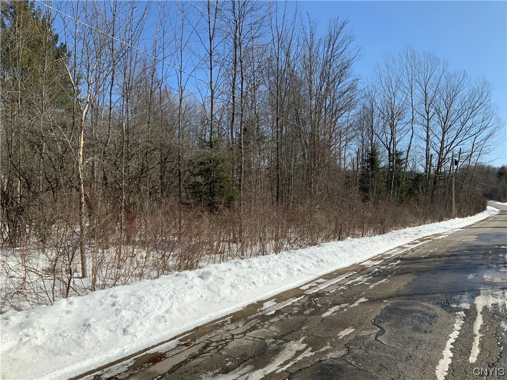 0 Hoffman Road St. Johnsville, NY 13452 - Photo 27 of 35