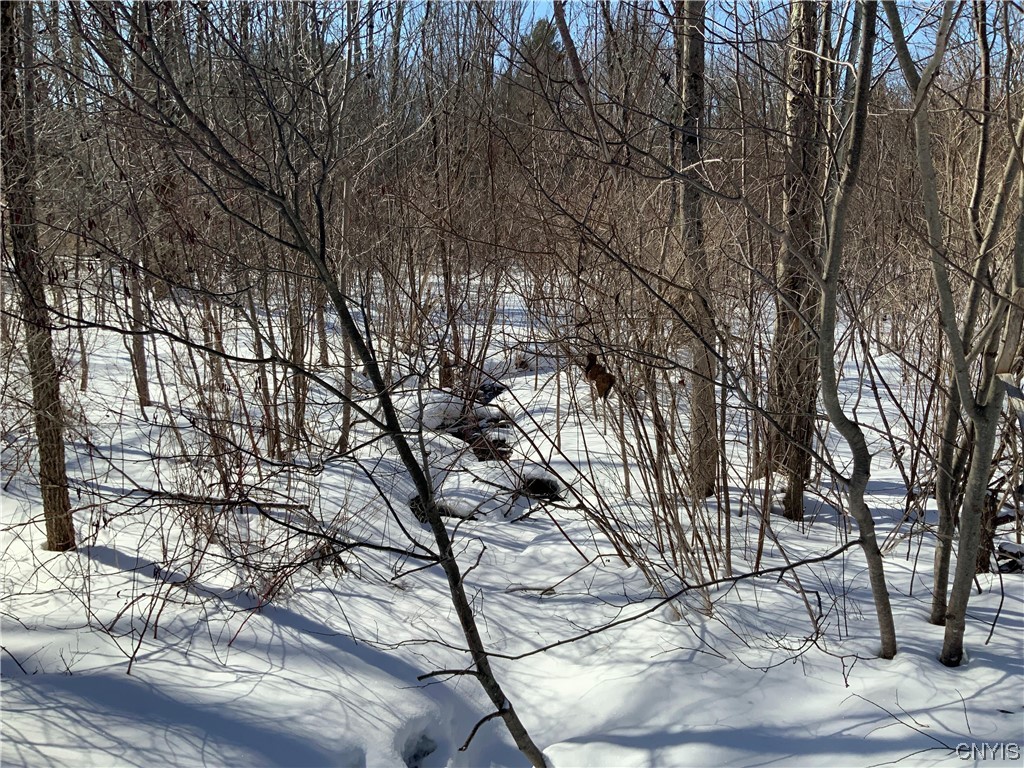 0 Hoffman Road St. Johnsville, NY 13452 - Photo 28 of 35