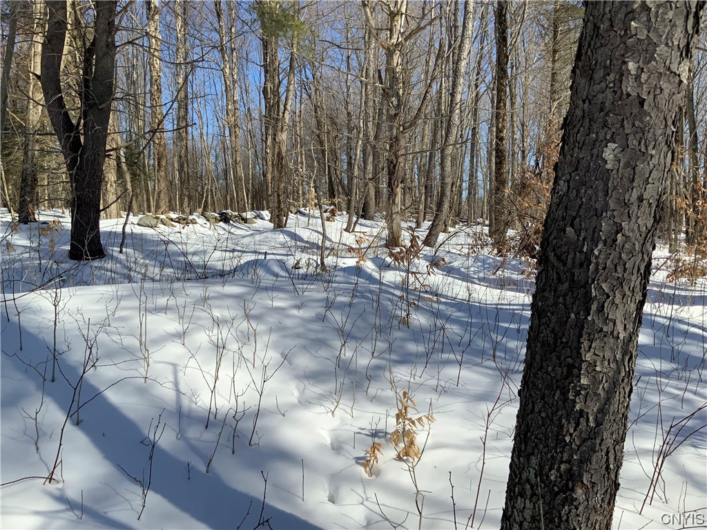 0 Hoffman Road St. Johnsville, NY 13452 - Photo 29 of 35