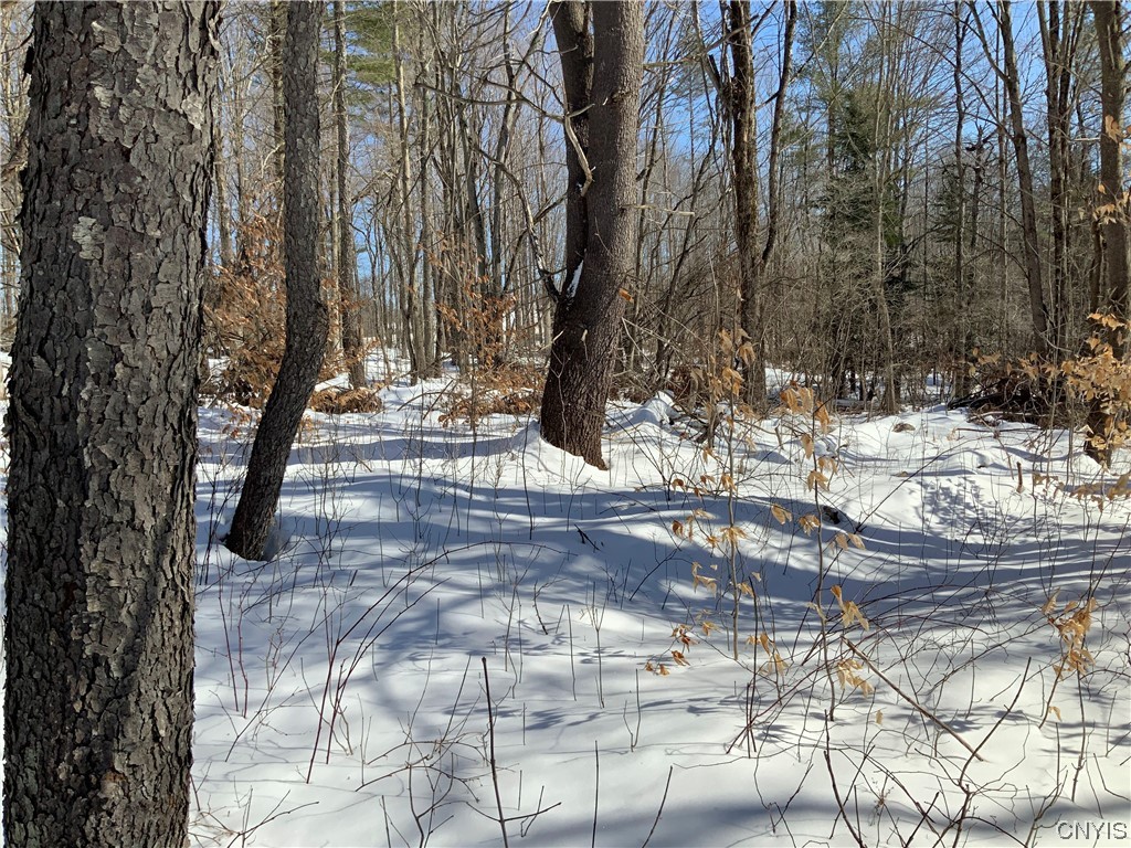 0 Hoffman Road St. Johnsville, NY 13452 - Photo 30 of 35