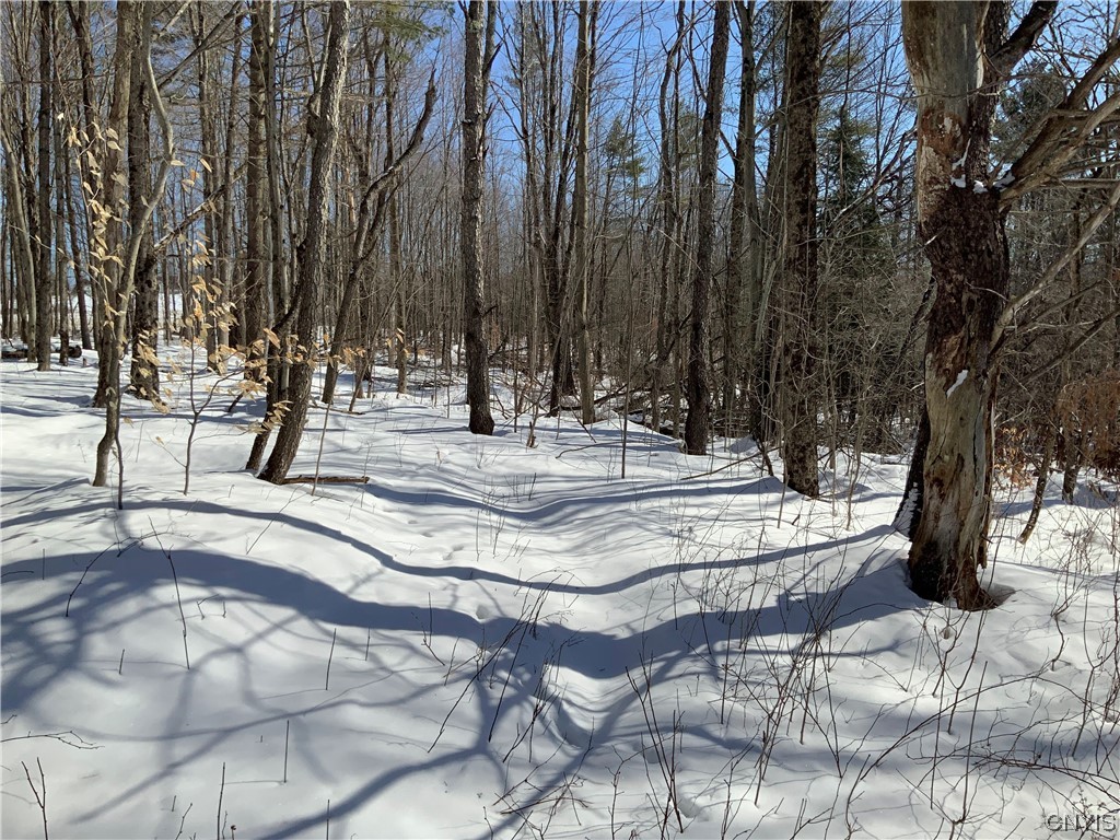 0 Hoffman Road St. Johnsville, NY 13452 - Photo 31 of 35