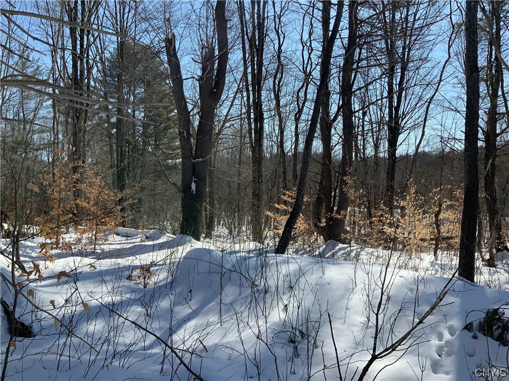 0 Hoffman Road St. Johnsville, NY 13452 - Photo 32 of 35