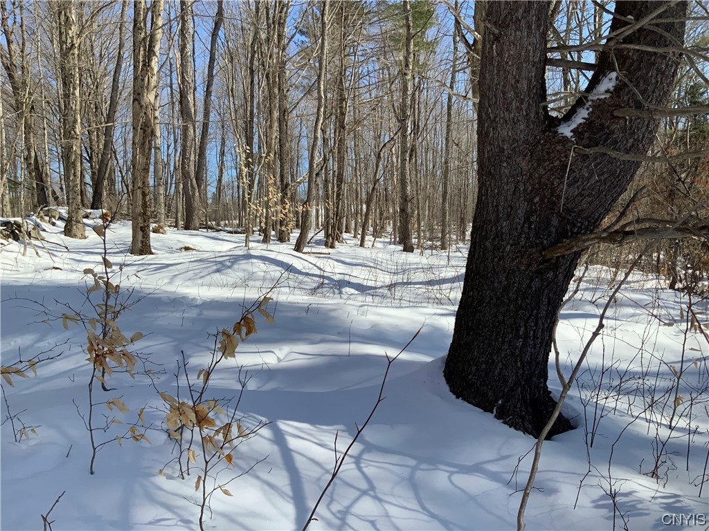 0 Hoffman Road St. Johnsville, NY 13452 - Photo 33 of 35