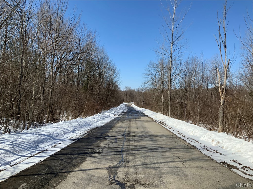 0 Hoffman Road St. Johnsville, NY 13452 - Photo 34 of 35