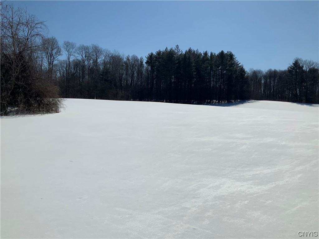 0 Hoffman Road St. Johnsville, NY 13452 - Photo 35 of 35