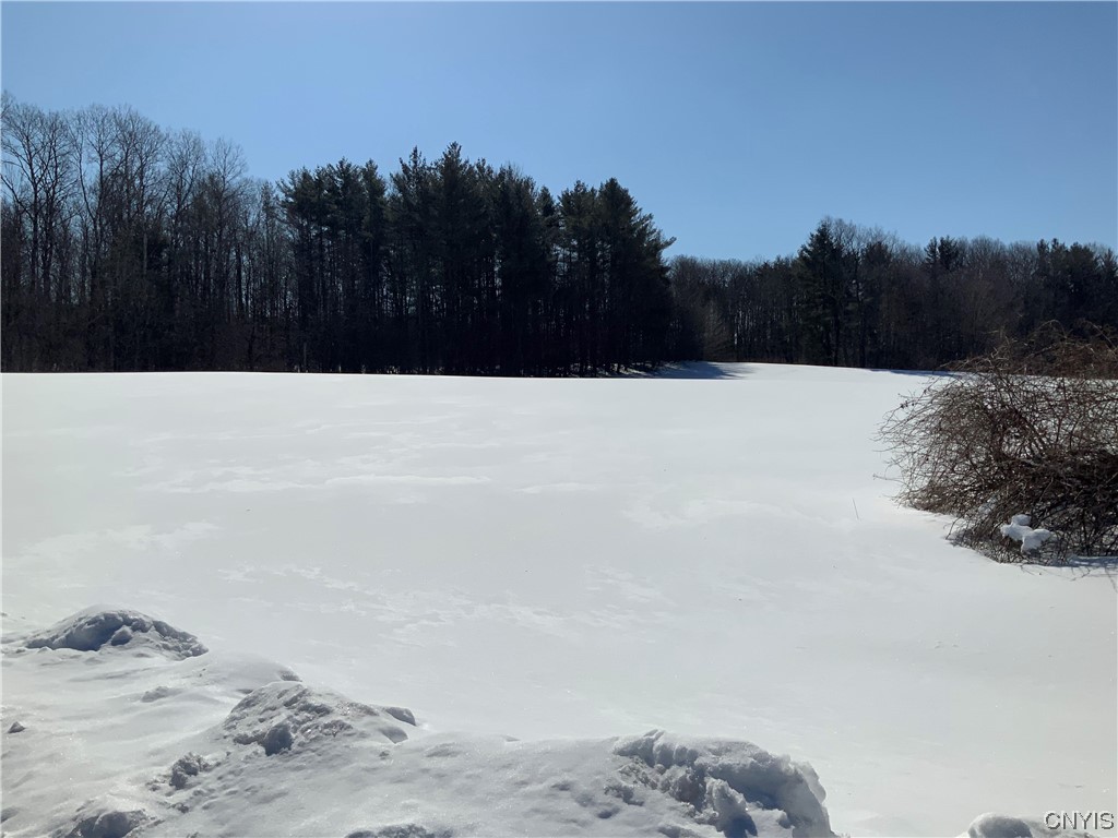 0 Hoffman Road St. Johnsville, NY 13452 - Photo 4 of 35